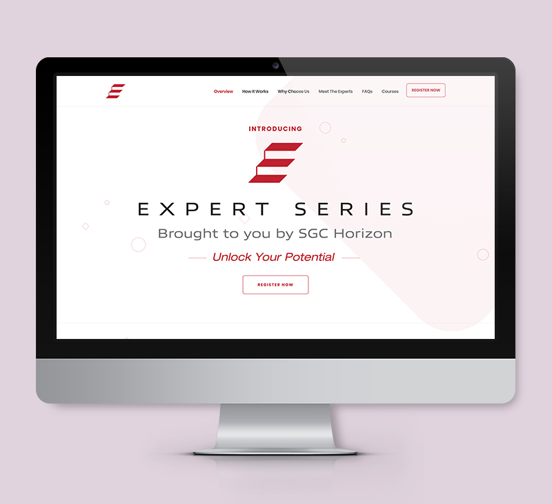 Expert Series Website